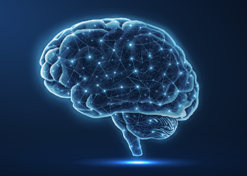 Image of brain mapping