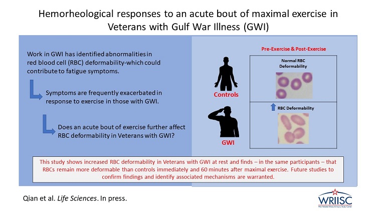 Hemorheological responses to an acute bout of maximal exercise in Veterans with Gulf War Illness