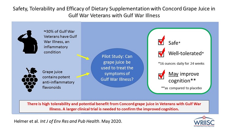 Safety, Tolerability and Efficacy of Dietary Supplementation with Concord Grape Juice in Gulf War Veterans with Gulf War Illness